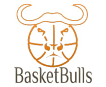 Basket Bulls
