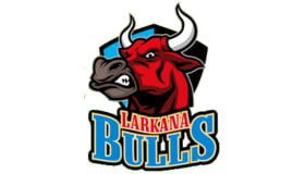 Larkana Bulls Logo