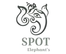 Spot Elephant