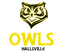Owls