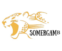 Somergamb