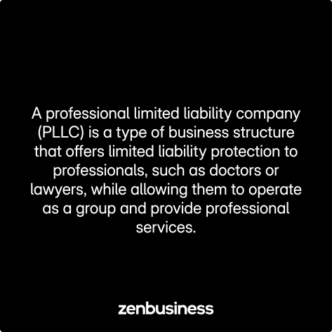 professional llc defined