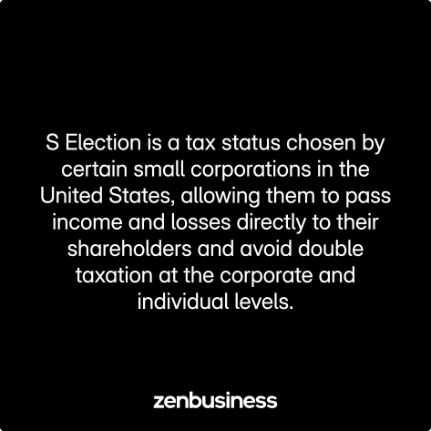s election defined