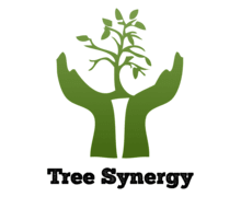 Tree Synergy