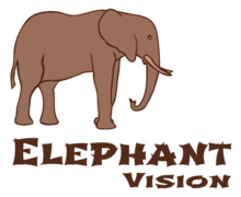 Elephant Vision