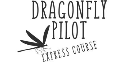 Dragonfly Pilot