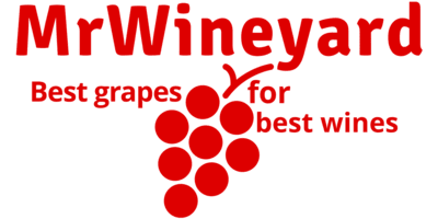 Mr Wineyard