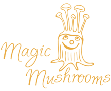 Magic Mushrooms
