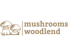 Mushrooms Woodlend