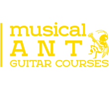 Musical Ant