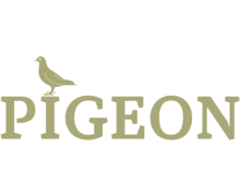 Pigeon1
