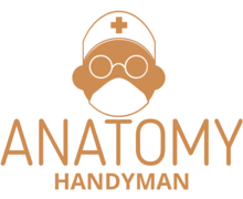 Anatomy