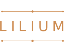 Lilium