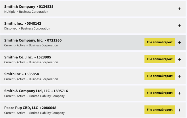 NC business name search results 1